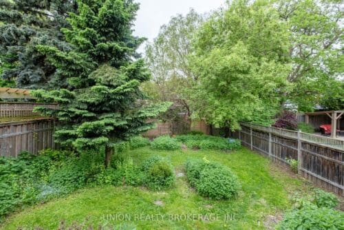 40 Red Deer Avenue Back Yard